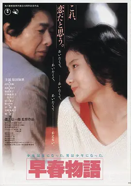 口袋·起源